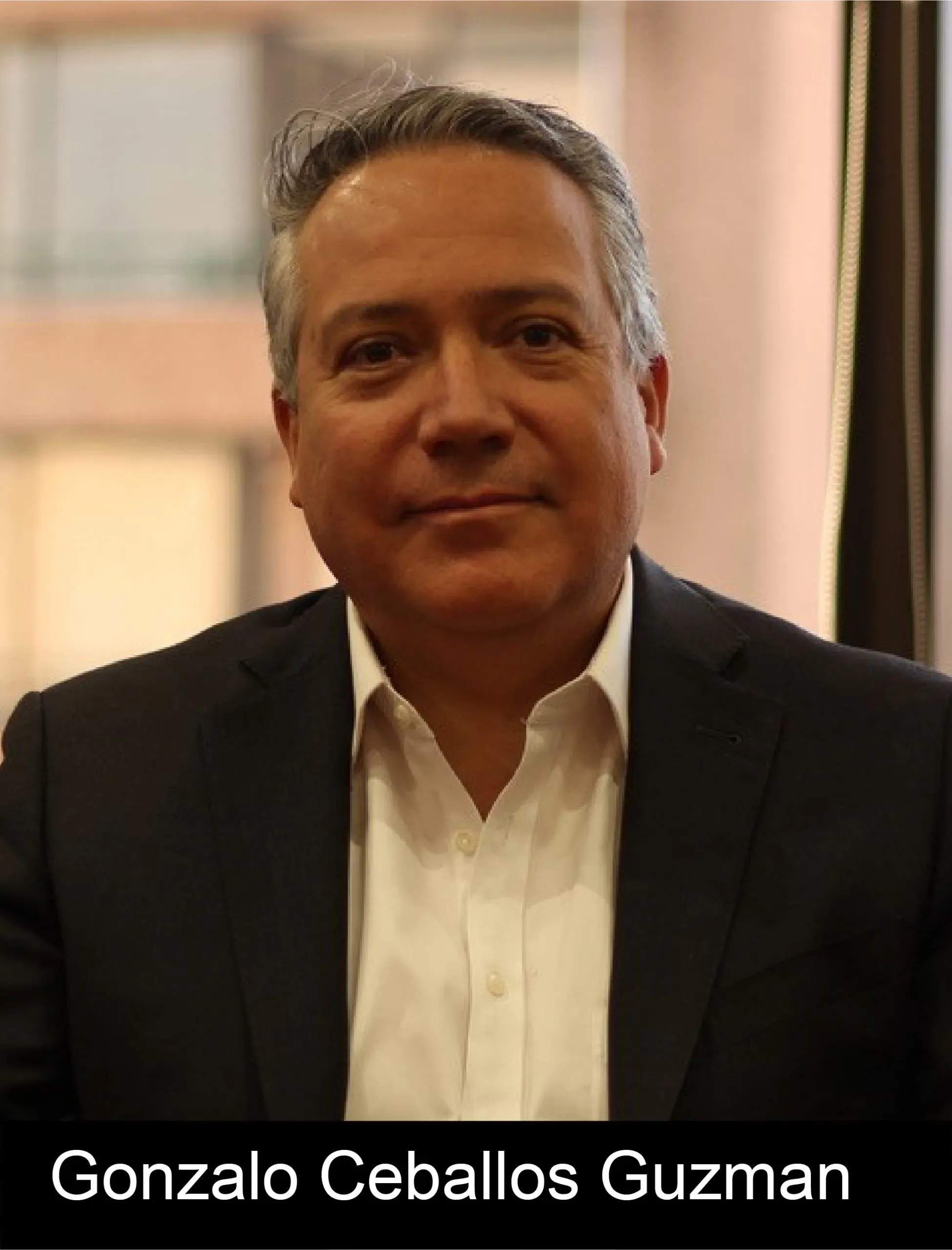 Mentor de Netmentora Chile 7
