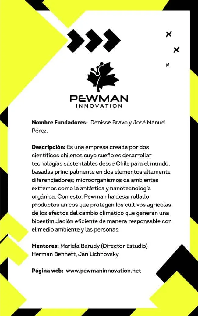 Ficha de Pewman