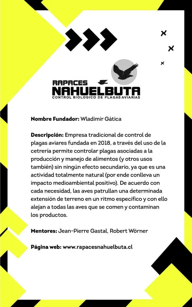 Ficha de Rapaces