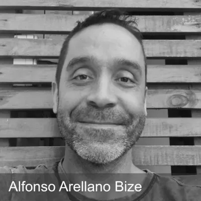 Alfonso Arellano Bize