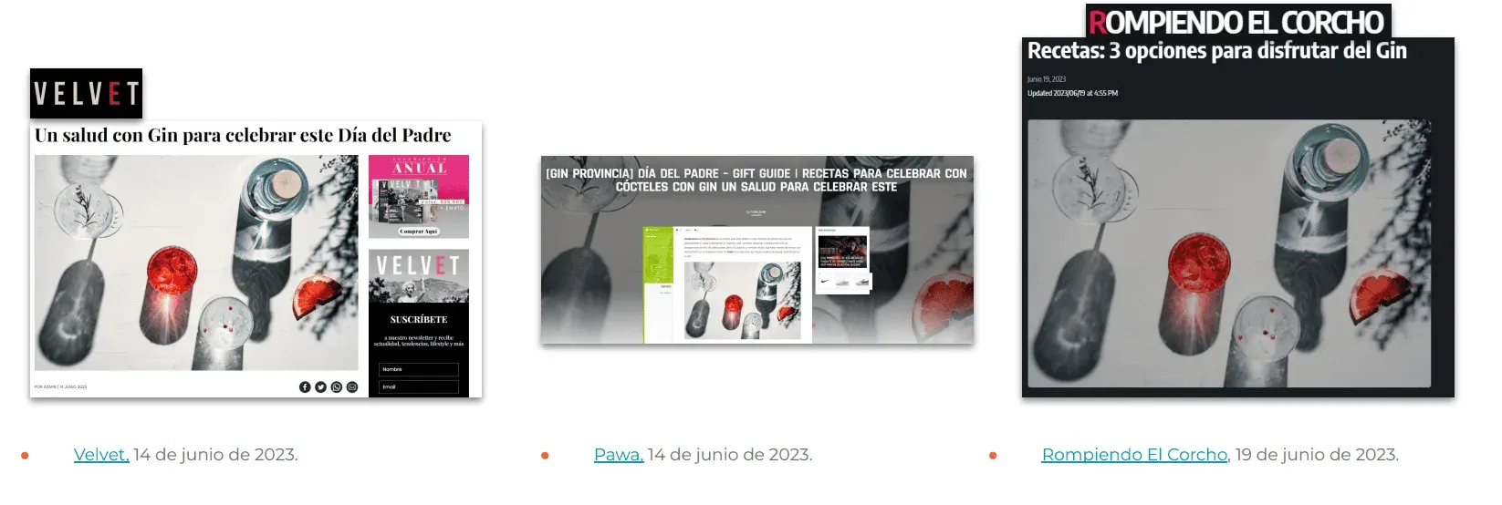 Éxito en la Asesoría Estratégica de Extend Comunicaciones para Gin Provincia de Destilería Colchagua — galería 7