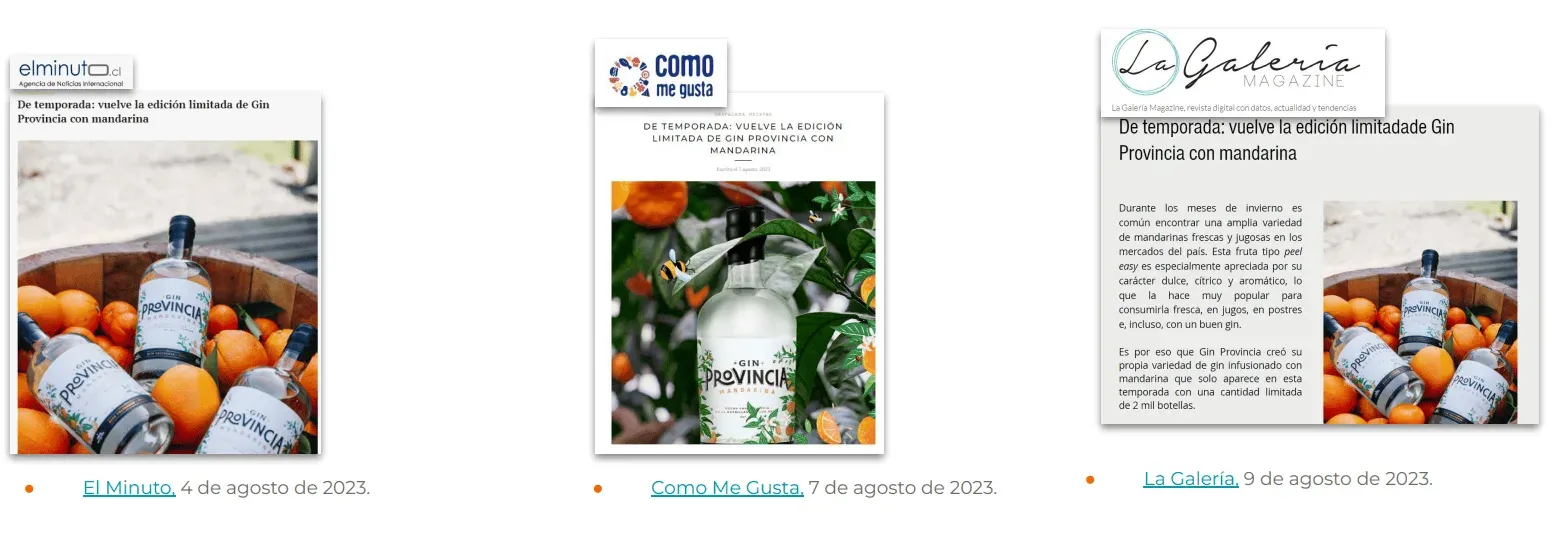 Éxito en la Asesoría Estratégica de Extend Comunicaciones para Gin Provincia de Destilería Colchagua — imagen 3