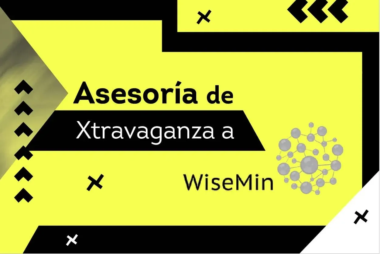 Asesoría de Xtravaganza a Wisemin