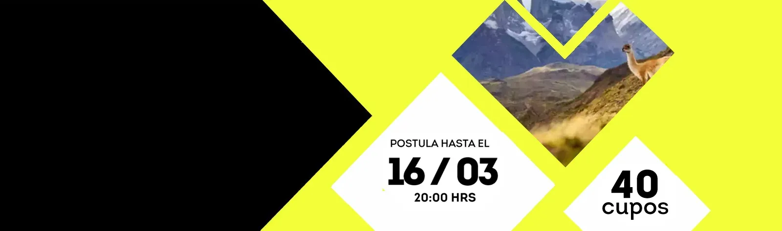 Programa Mentor Austral Magallanes — postulaciones abiertas