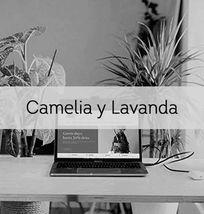 Camelia y Lavanda