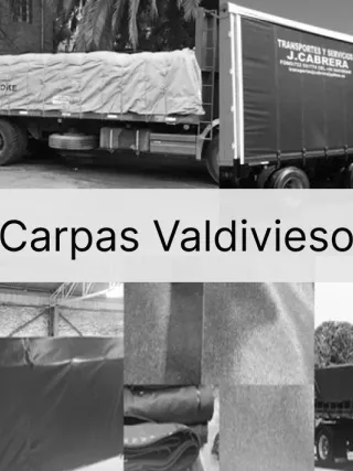 Carpas Valdivieso