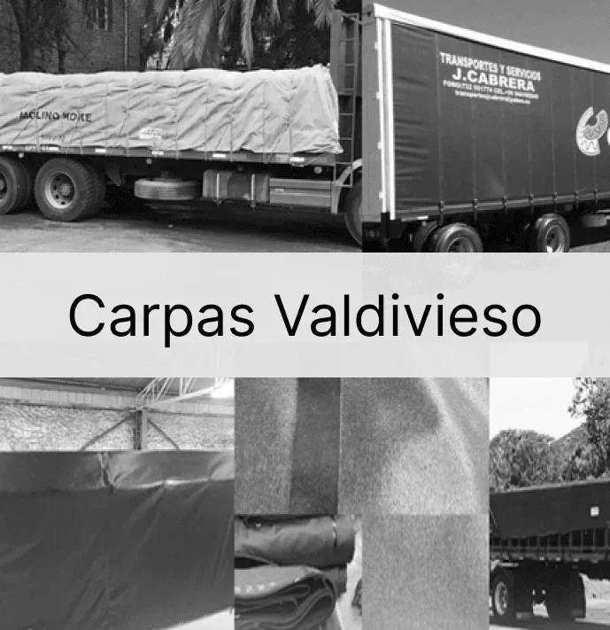 Logo de Carpas Valdivieso
