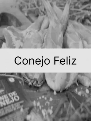 Conejo Feliz