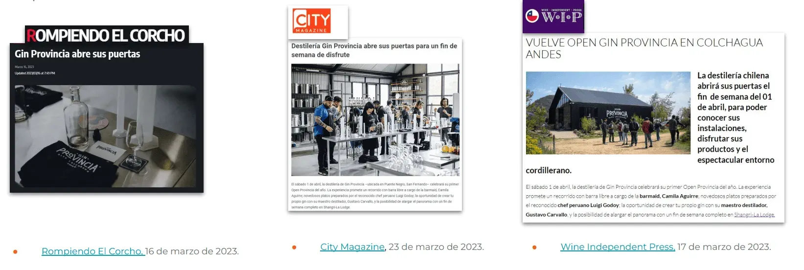 Éxito en la Asesoría Estratégica de Extend Comunicaciones para Gin Provincia de Destilería Colchagua — galería 2