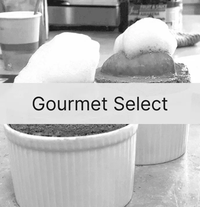 Logo de Gourmet Select