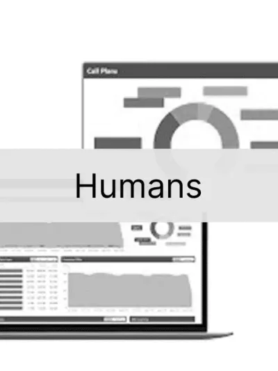Humans