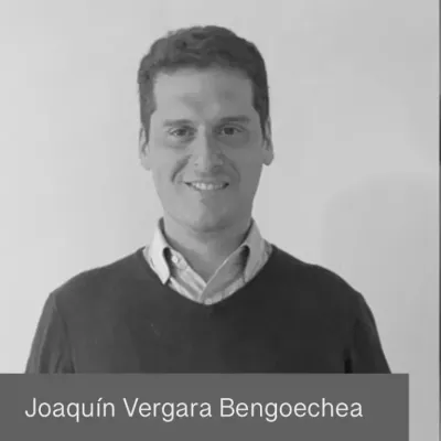 Joaquín Vergara