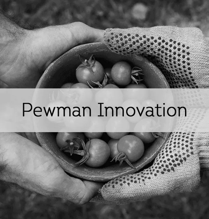 Pewman Innovation