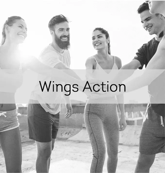 Wings Action