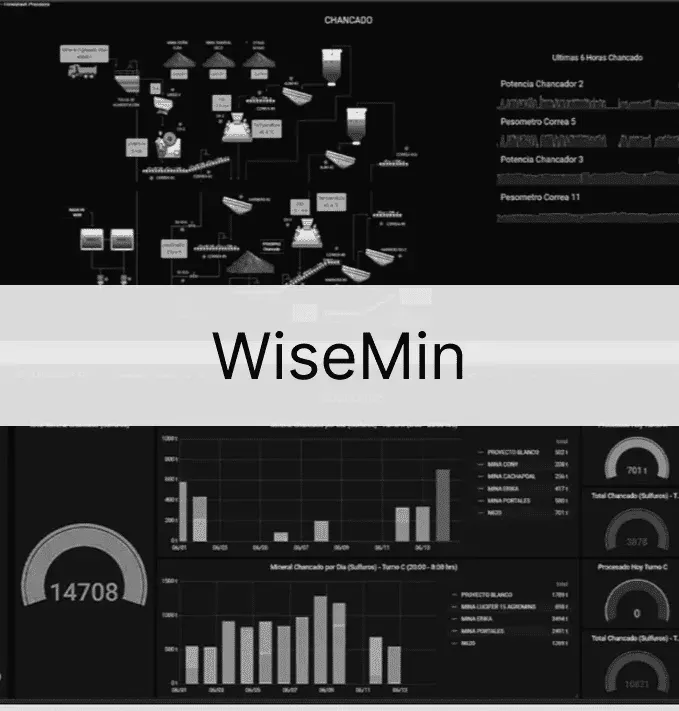 Logo de WiseMin