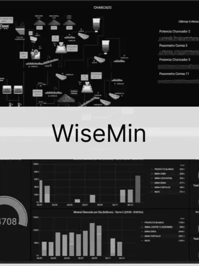 WiseMin