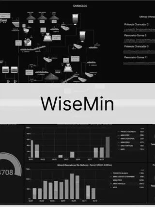 WiseMin