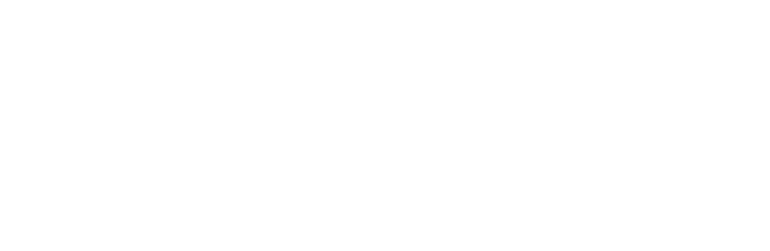 Netmentora Chile