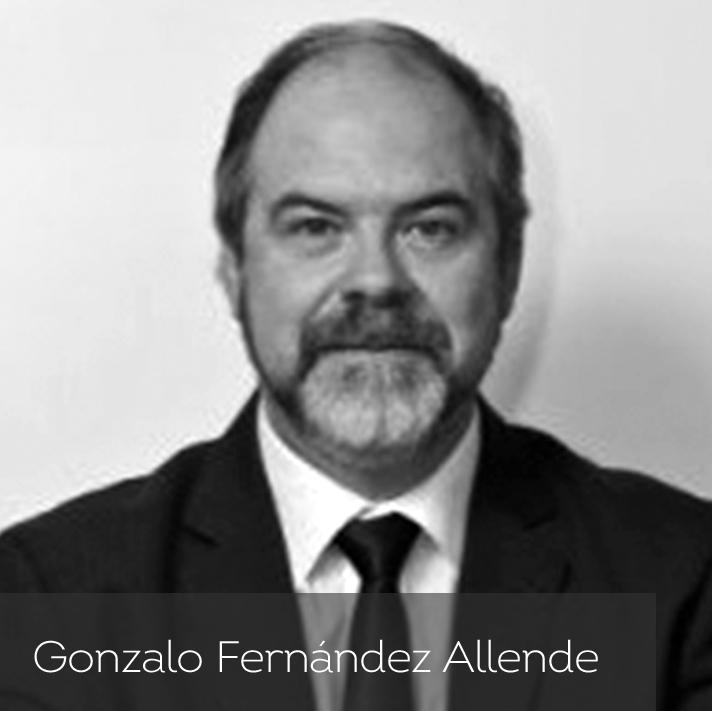 Gonzalo Fernandez